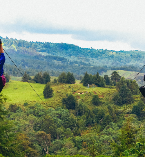 Kereita forest hike and Zip lining