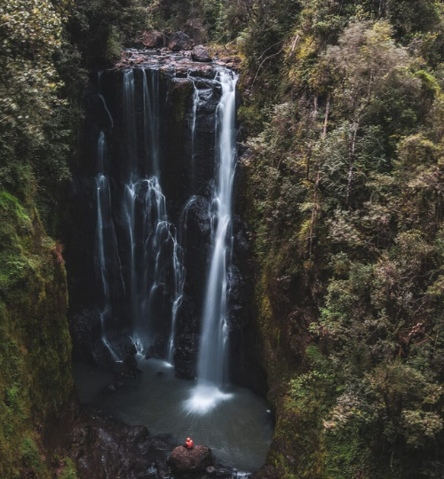 Ragia Forest Hike