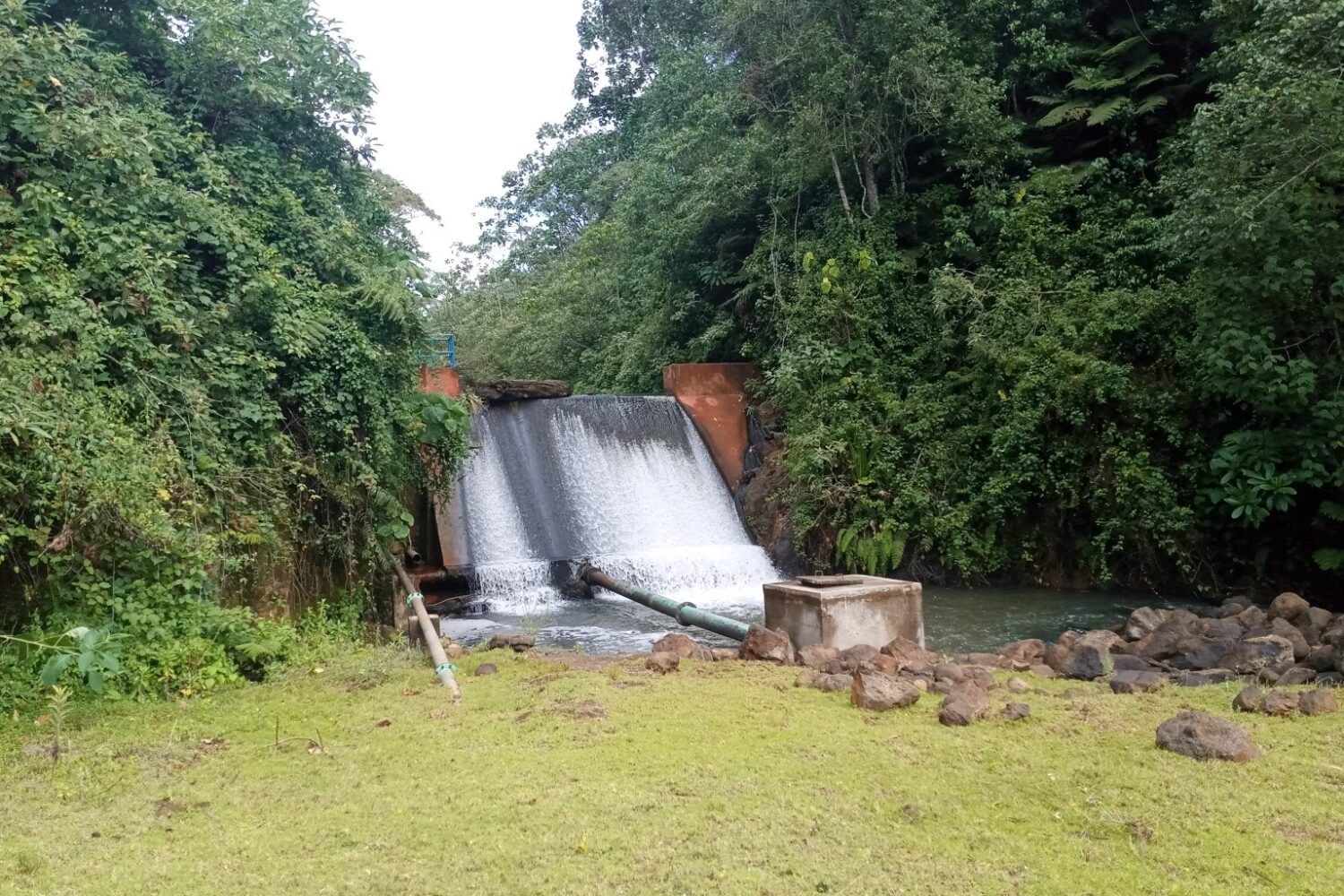 Kereita Forest Hike and Zip Lining