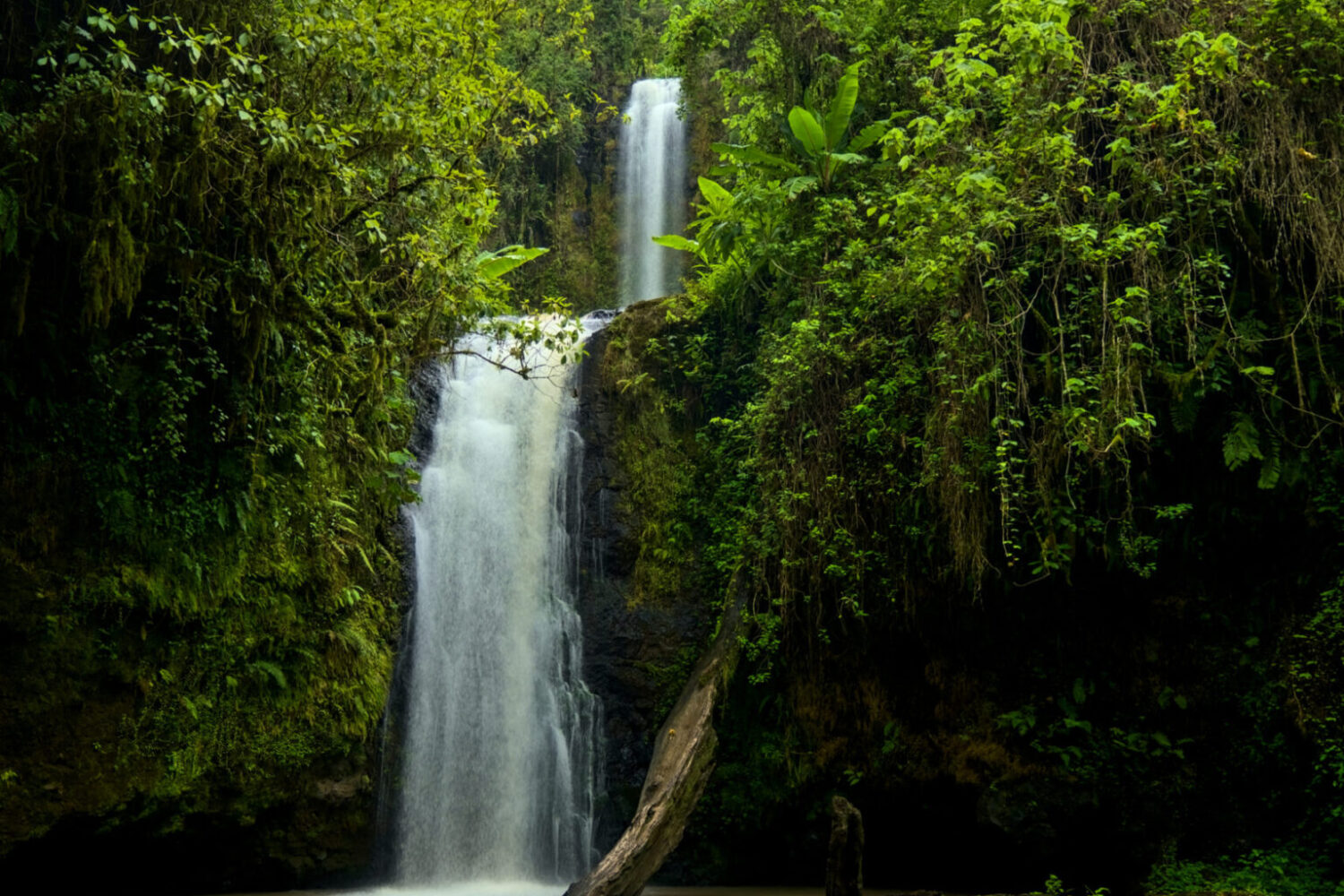 Kimakia Waterfalls Hike