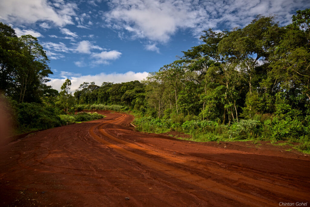 Kimakia Forest Hike