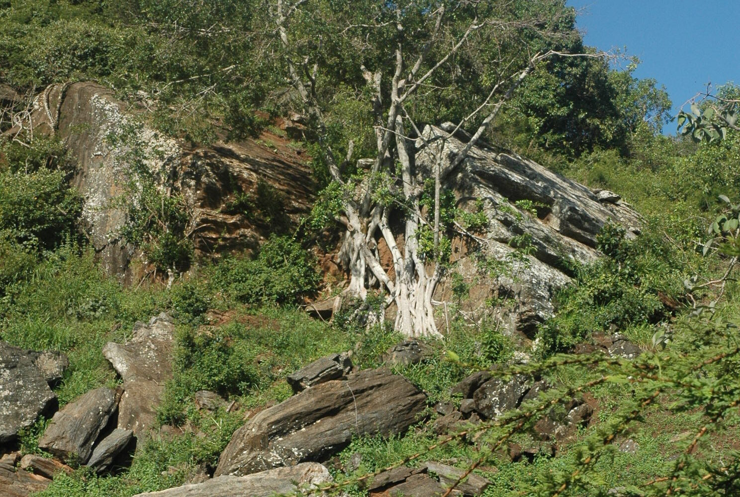 Kilima Mbogo (OL DONYO SABUK) and 14 Falls Hike