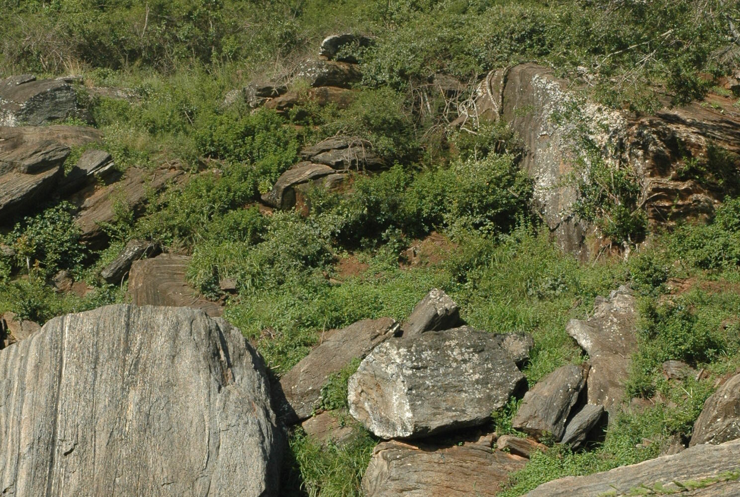 Kilima Mbogo (OL DONYO SABUK) and 14 Falls Hike