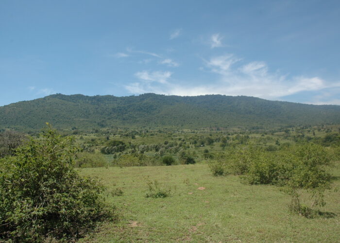 Kilima Mbogo (OL DONYO SABUK) and 14 Falls Hike