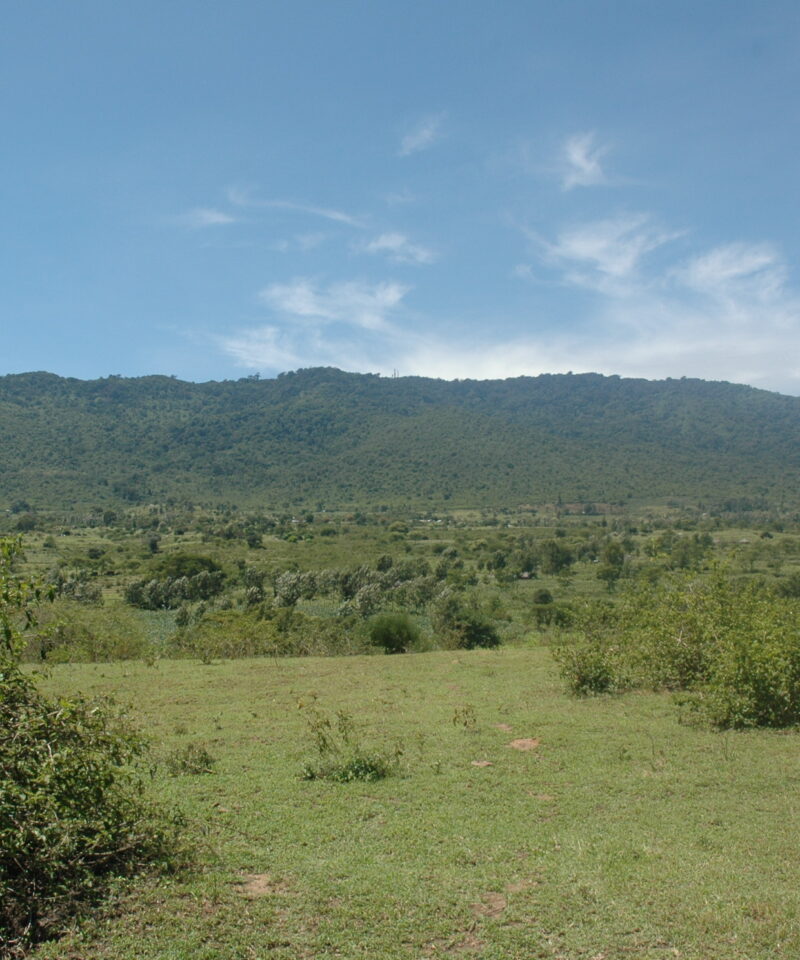 Kilima Mbogo (OL DONYO SABUK) and 14 Falls Hike