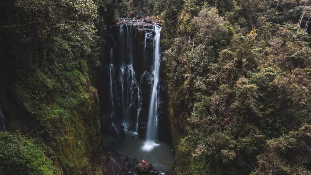 Ragia Forest Waterfalls Hike Aberdare