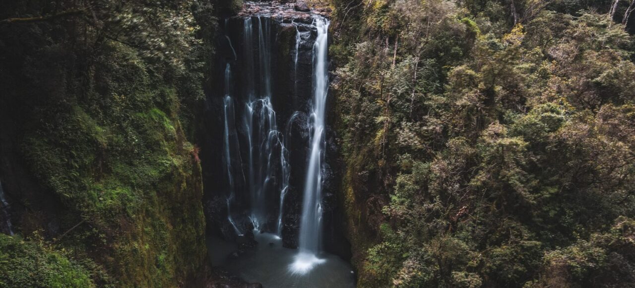 Ragia Forest Waterfalls Hike Aberdare