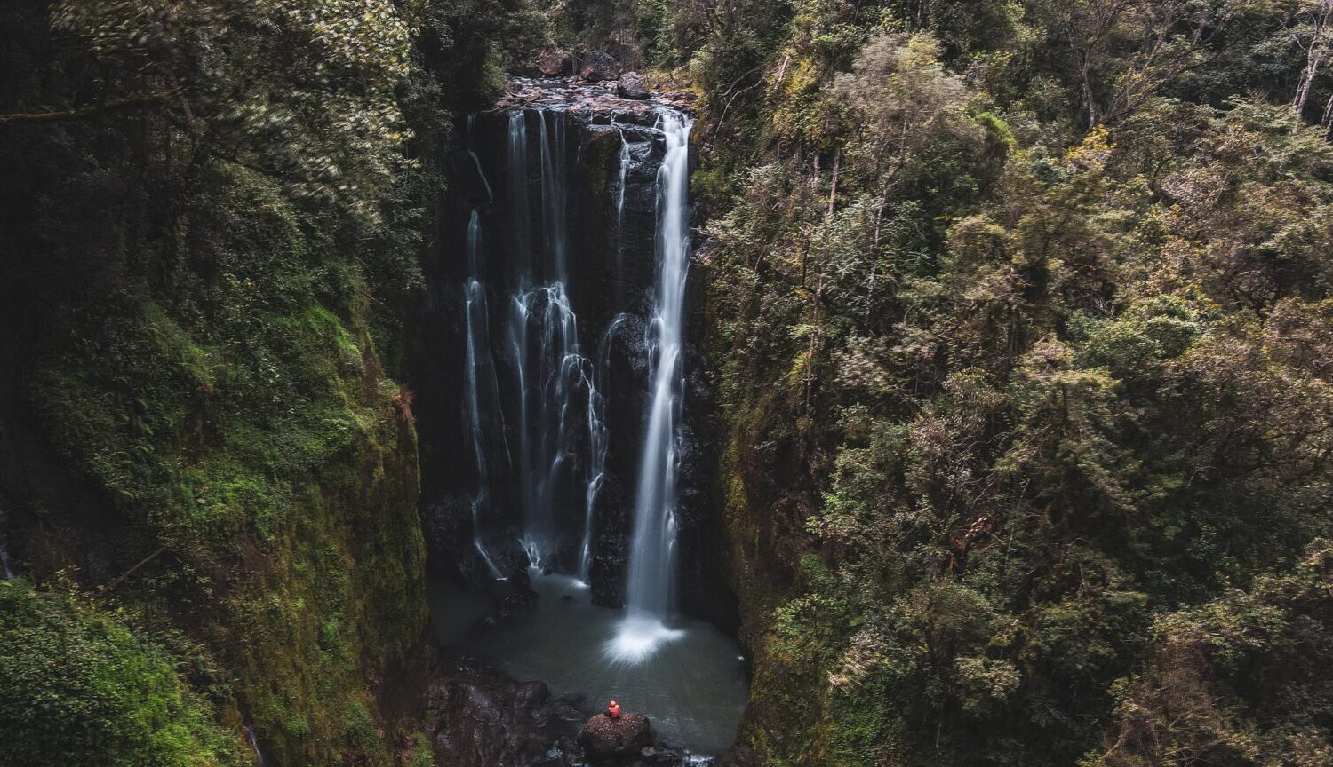 Ragia Forest Waterfalls Hike Aberdare