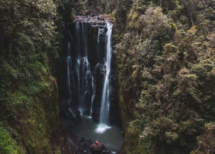 Ragia Forest Waterfalls Hike Aberdare