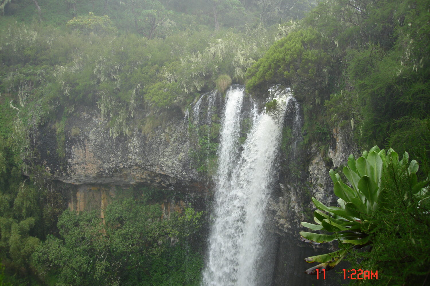 Aberdare National Park Game Drive